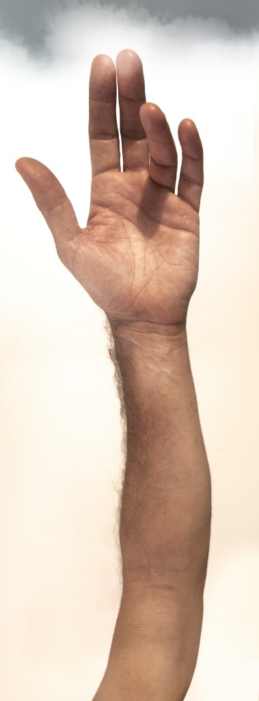 ELIJAH MEETS GOD by stephen fearnley. photo media , pigment print on 100%cotton rag - one off ( no edition ) $2000